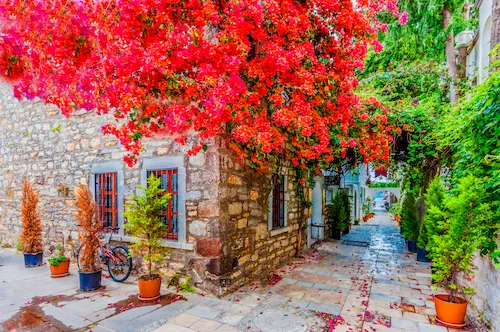 Turkey, Bodrum - Narrow street in Bodrum town