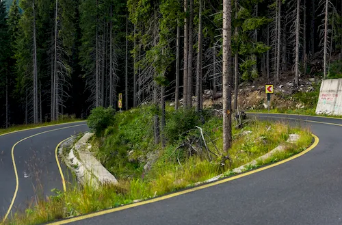 Romania - Empty winding Transalpina Road surrounded by trees
